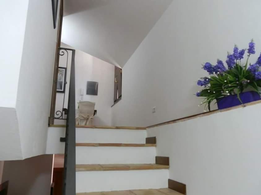 Agriturismo Ai Monaci Montano Antilia 外观 照片